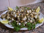 Ракушки Морские