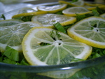 Нототения, тушеная с зеленью и лимоном