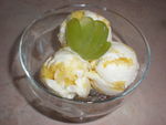 Творожное мороженое с апельсиновой прослойкой (вариант)